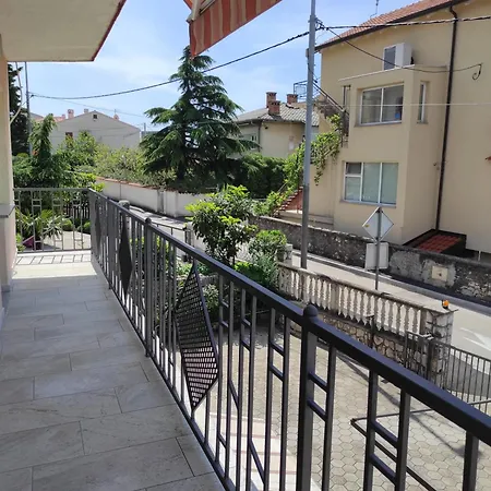 Zoran Vukusic Daire *